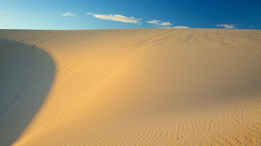 Corralejo Dunes Natural Park