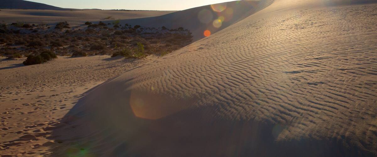 Parque Natural de las Dunas de Corralejo