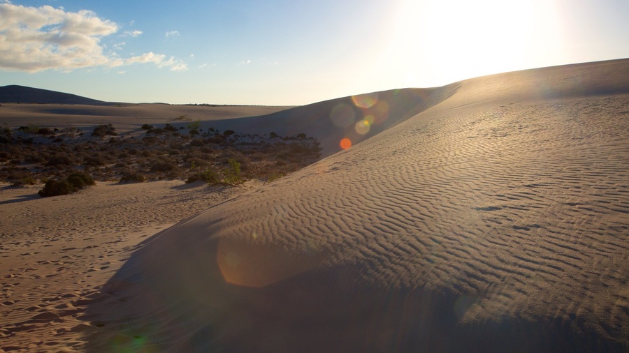 Parque Natural de las Dunas de Corralejo