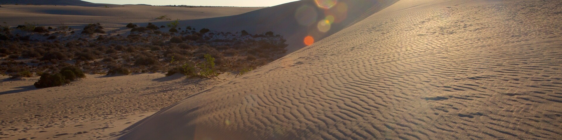 Dünenpark Corralejo das einen Sandstrand und Sonnenuntergang