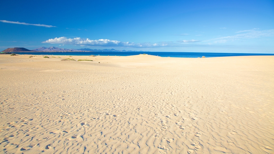 Parque Natural de las Dunas de Corralejo toont een zandstrand