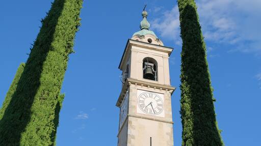 Collina d'Oro