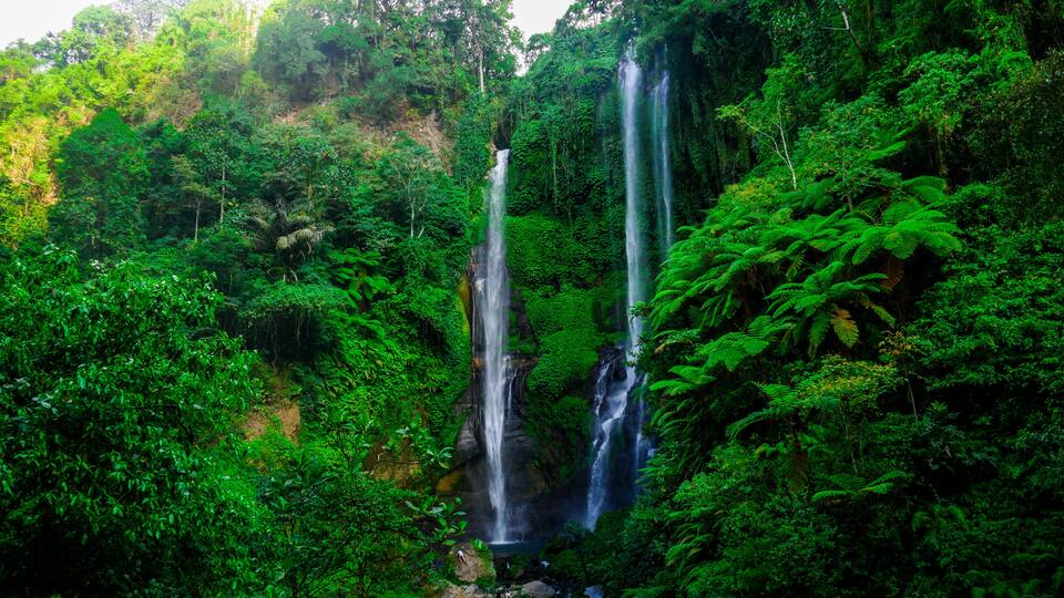 A waterfall surrounded by dense green forest.