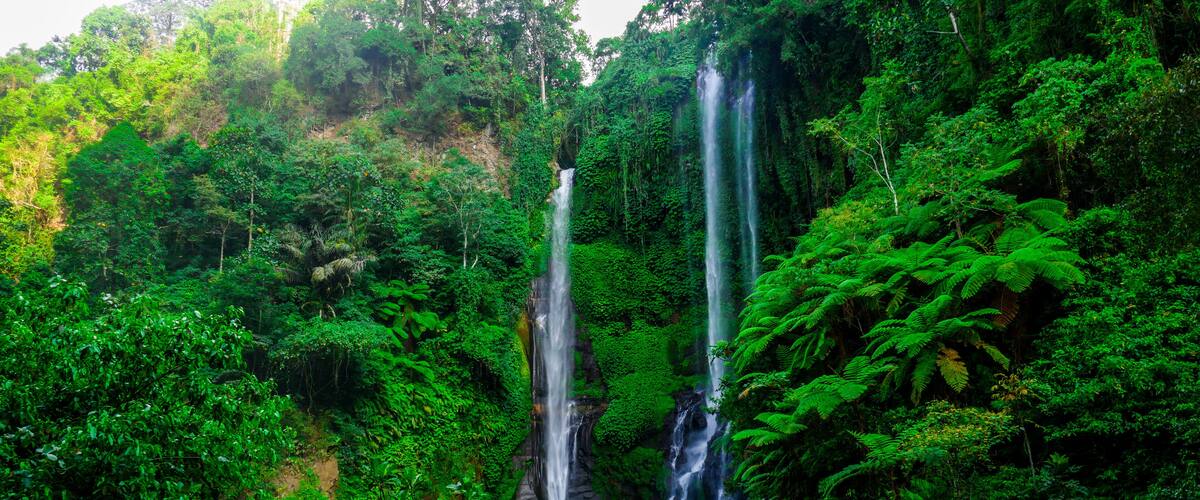 A waterfall surrounded by dense green forest.