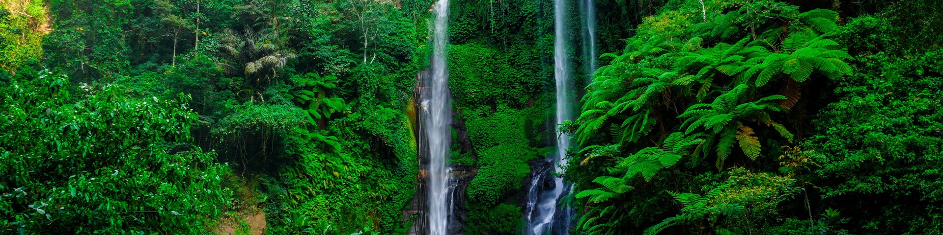 A waterfall surrounded by dense green forest.
