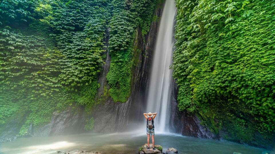 A waterfall surrounded by lush greenery.