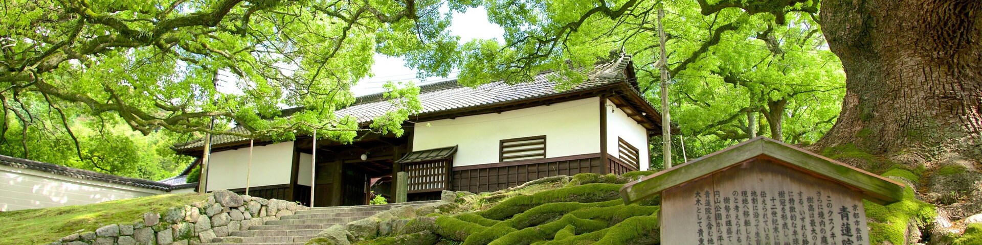 Templo Shoren-in caracterizando um templo ou local de adoração e sinalização