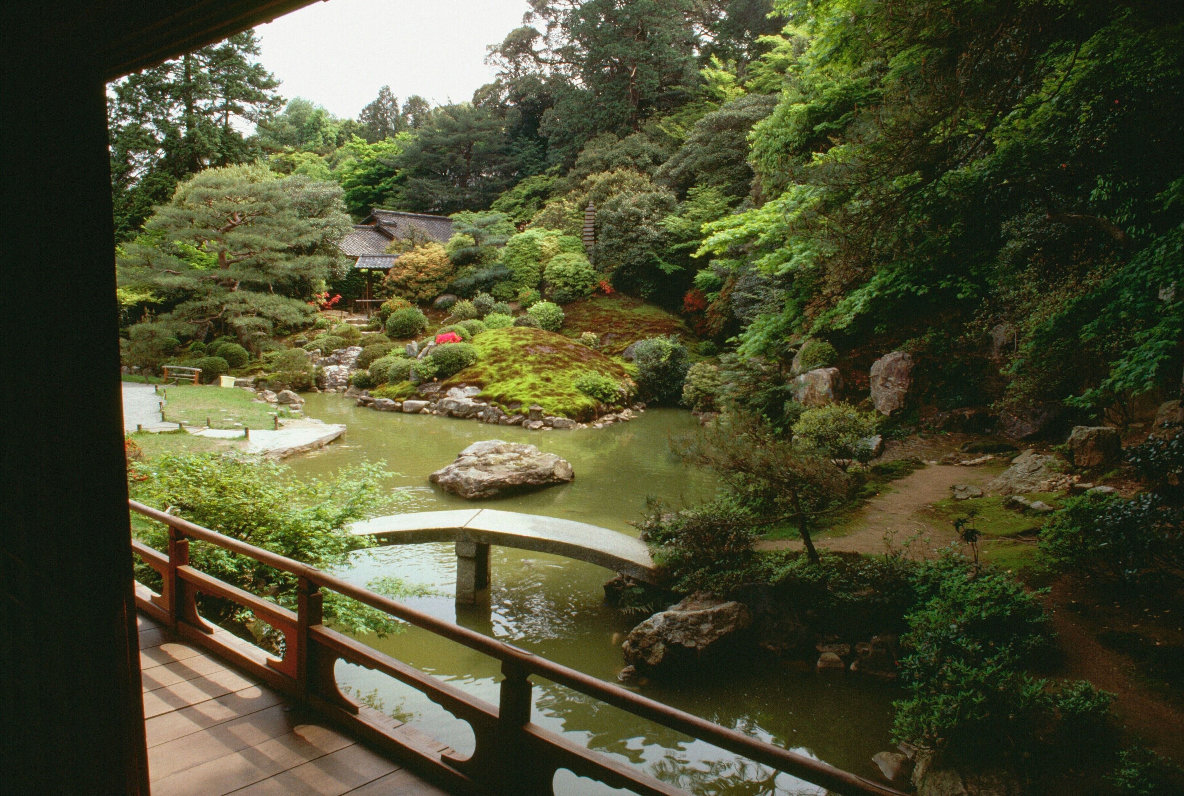 Pond in a garden, Shoren-in Temple, Kyoto, Japan