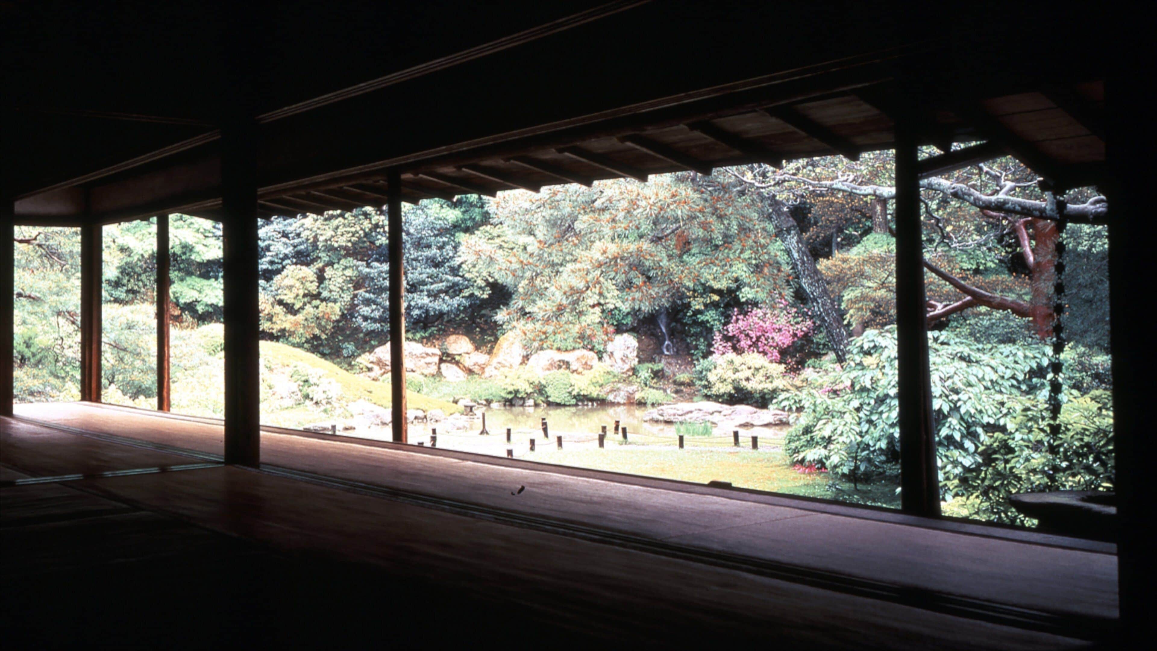 Shoren-in tempel som viser tempel eller hellig sted og innendørs