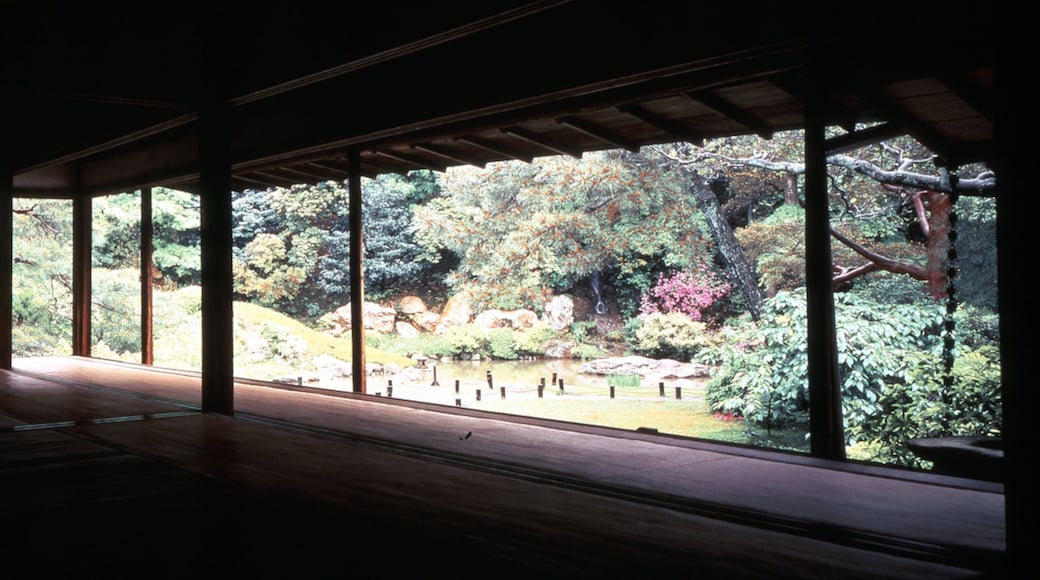 Templo Shoren-in que incluye vistas interiores y un templo o lugar de culto