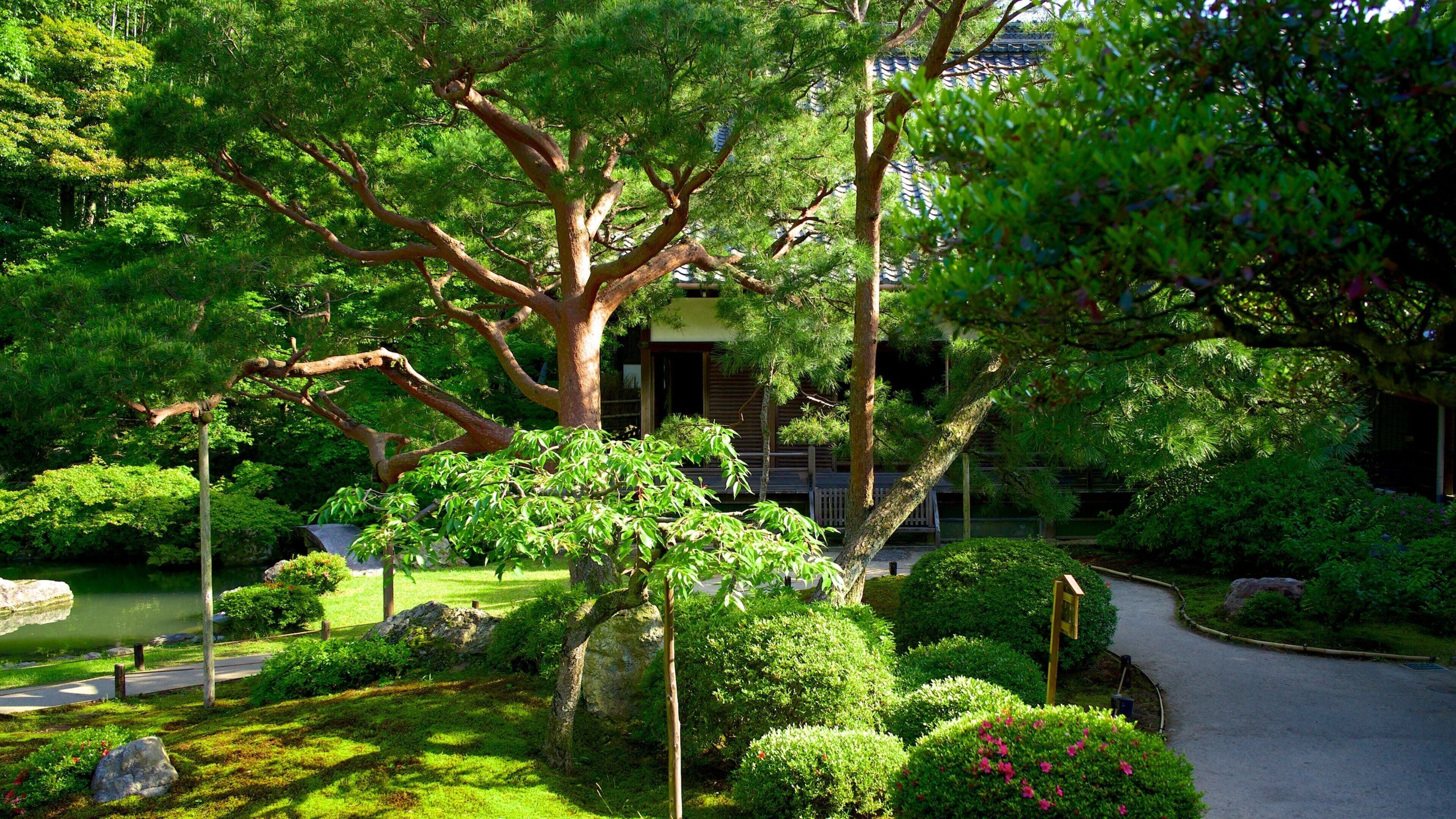 Shoren-in Temple showing religious aspects, a garden and a temple or place of worship