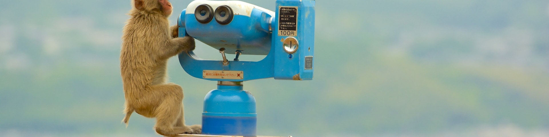 Arashiyama Monkey Park which includes views, a garden and an observatory
