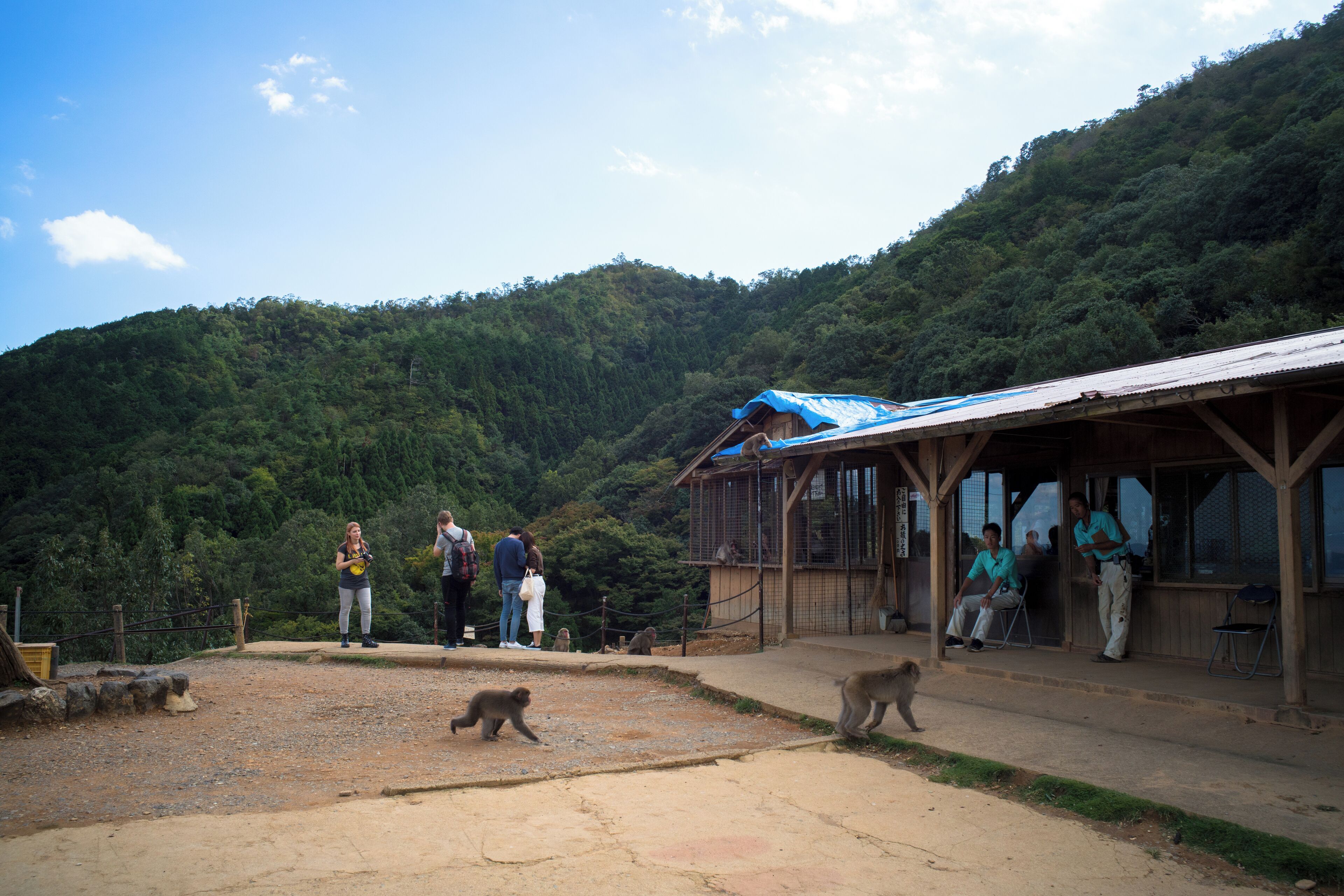 Kyoto_ArashiyamaMonkeyPark_6160752_05
