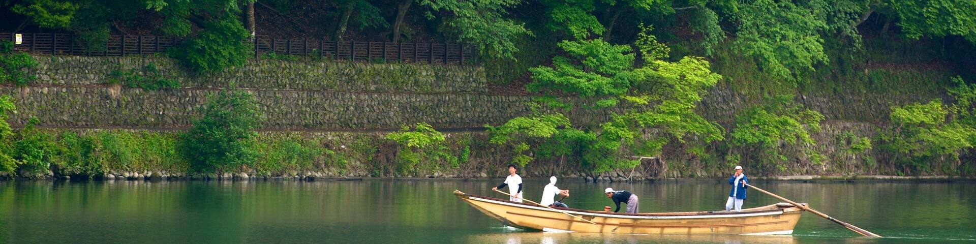 Arashiyama Monkey Park featuring a river or creek, forests and boating