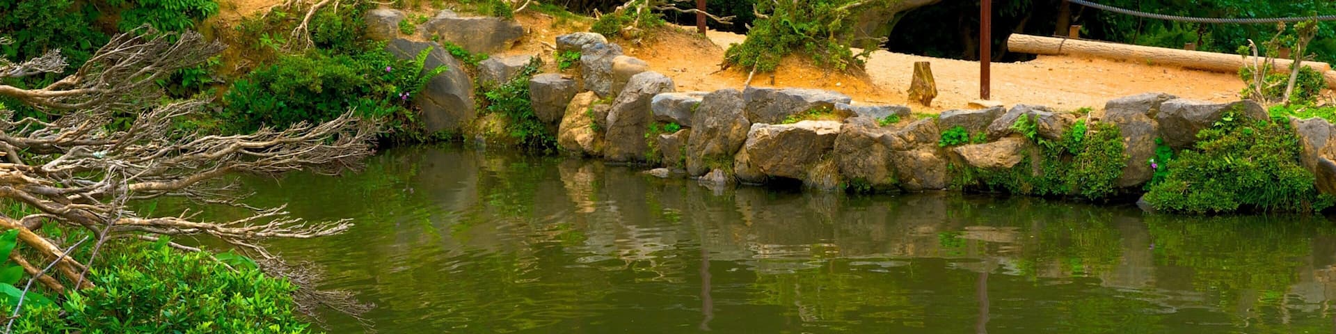 Arashiyama Monkey Park featuring a pond, zoo animals and cuddly or friendly animals