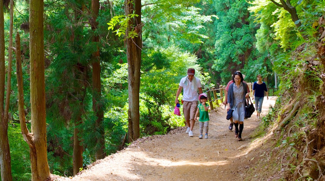 Arashiyama Monkey Park which includes hiking or walking and forest scenes as well as a family