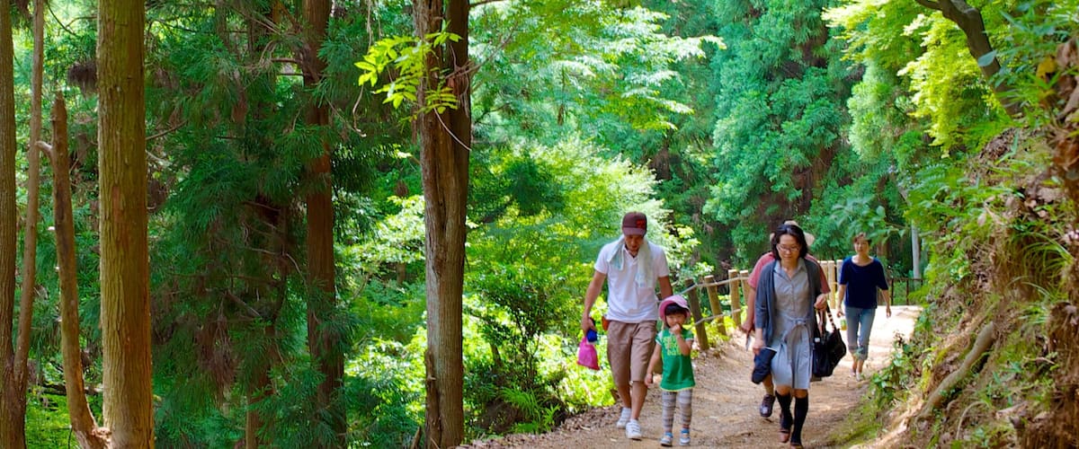 Arashiyama-Affenpark welches beinhaltet Waldmotive und Wandern oder Spazieren sowie Familie