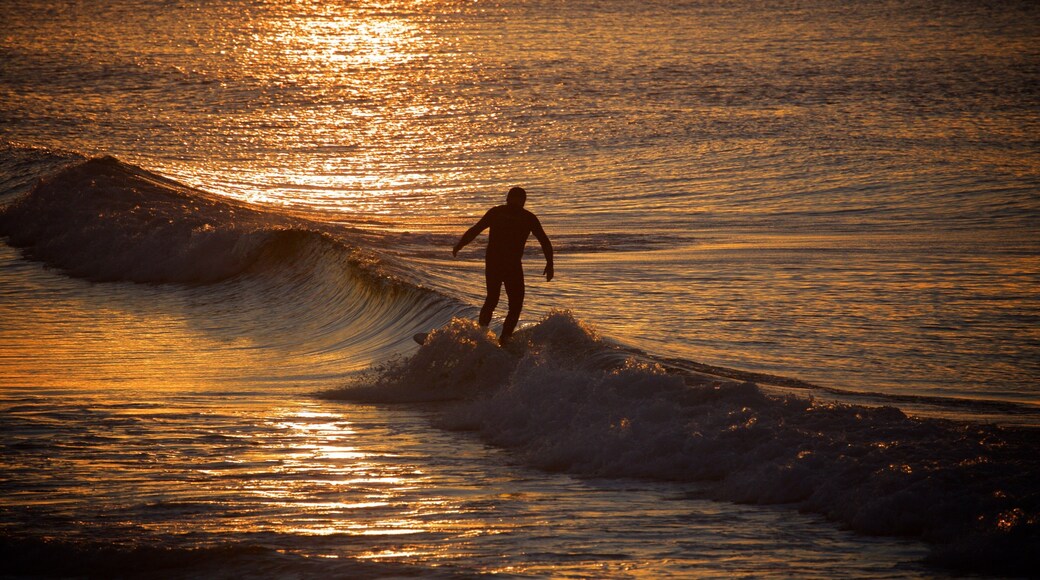 Coolangatta Beach bevat algemene kustgezichten, surfen en een zonsondergang