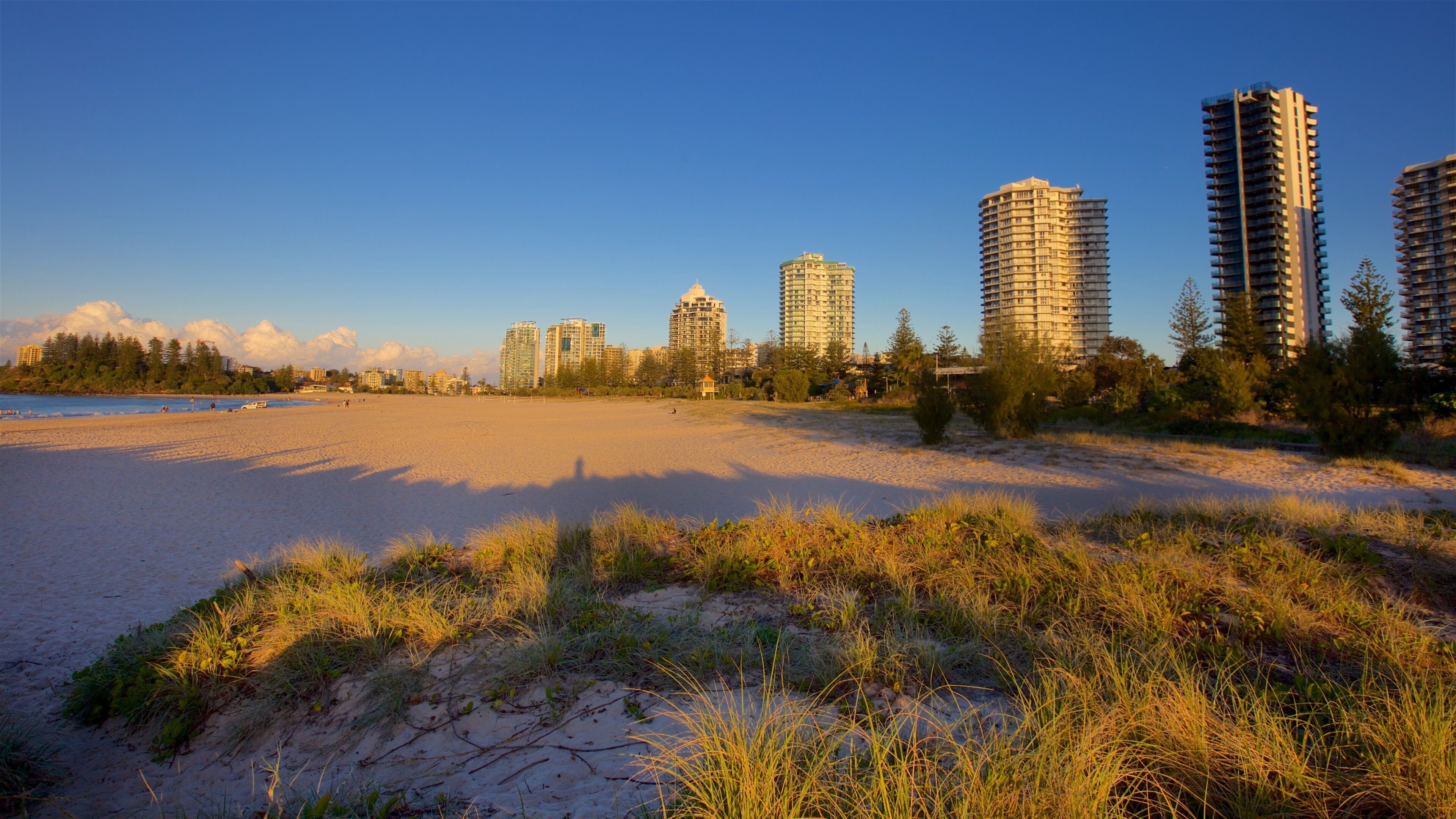 Coolangatta Beach bevat algemene kustgezichten, een stad en hoogbouw