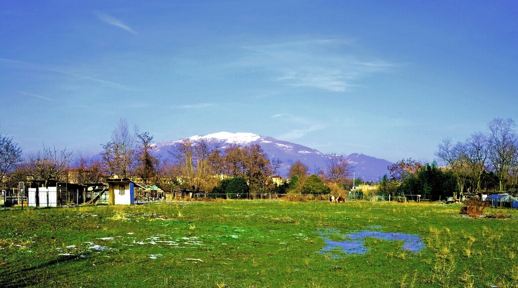 Monte Linzone e Roncola dalla Clinica