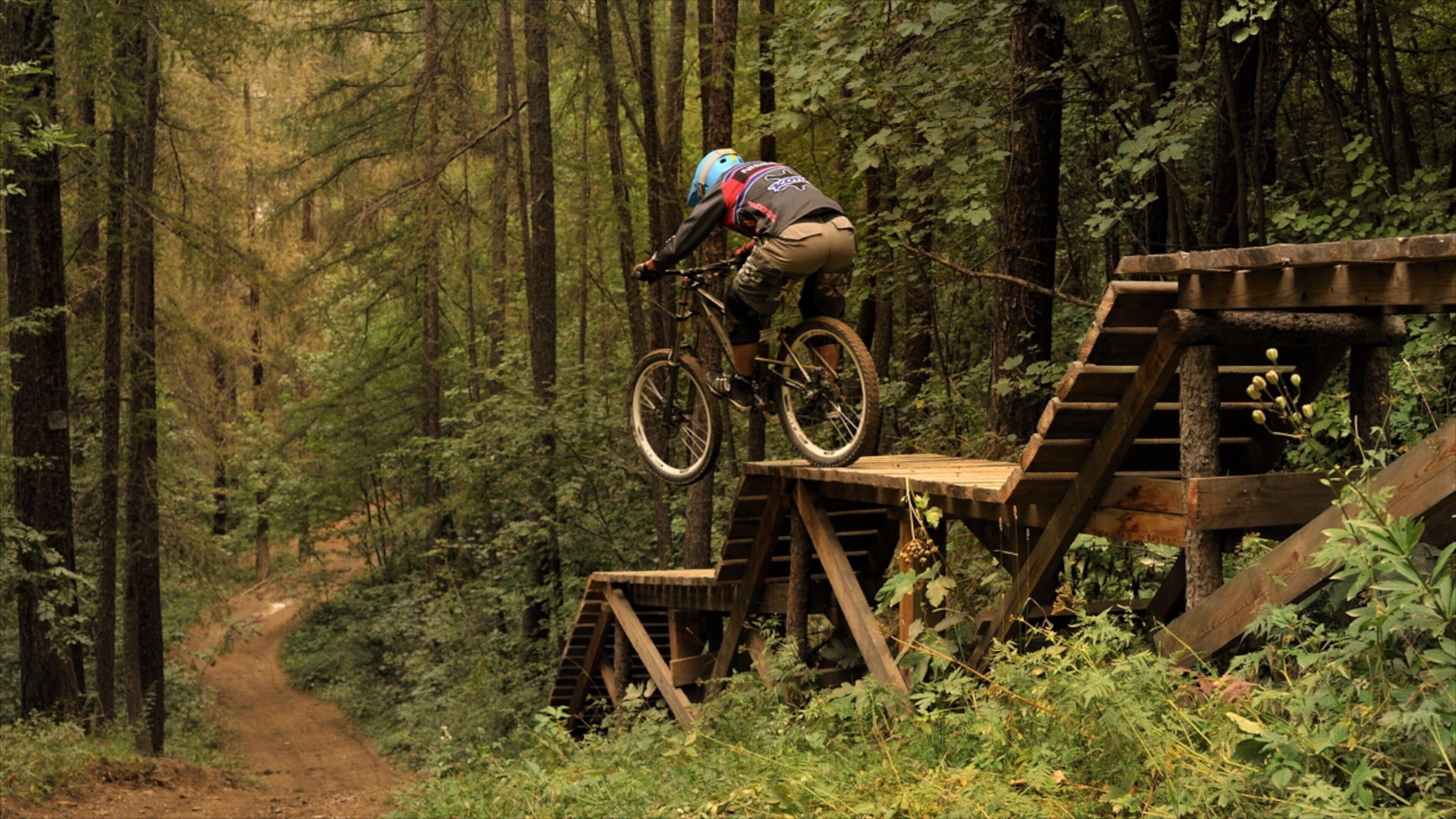 Bardonecchia Ski Resort featuring mountain biking and forests