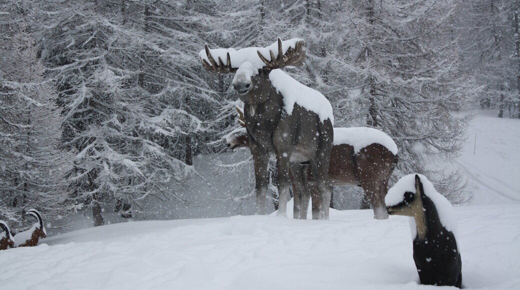 Bardonecchia Ski Resort featuring snow and a statue or sculpture