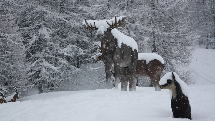 Bardonecchia Ski Resort featuring a statue or sculpture and snow