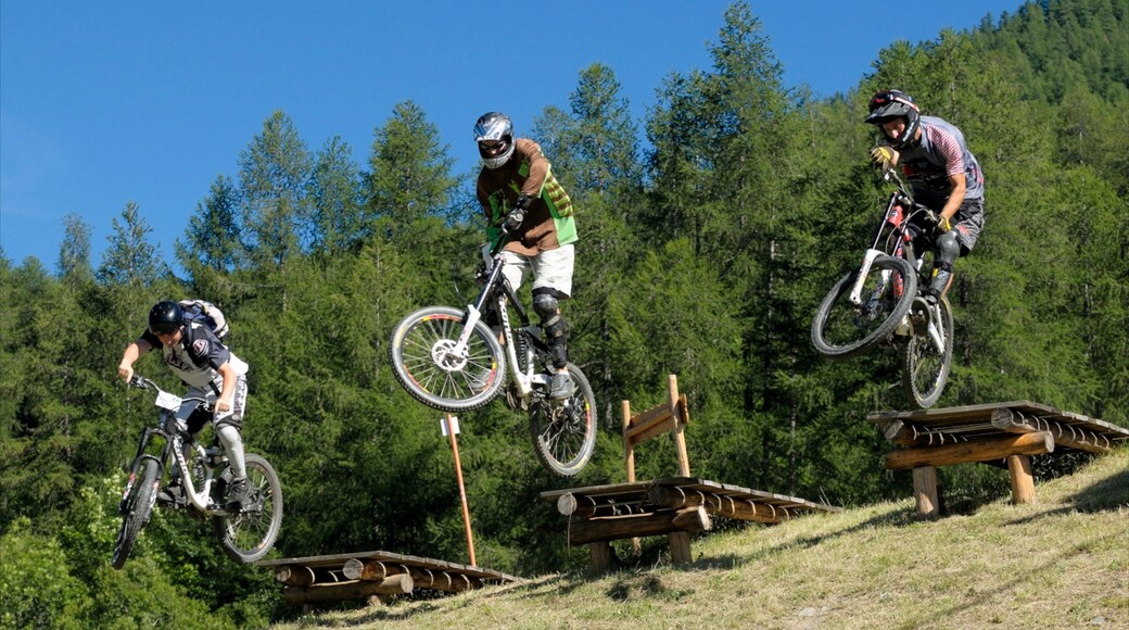 Bardonecchia Ski Resort showing mountain biking as well as a small group of people