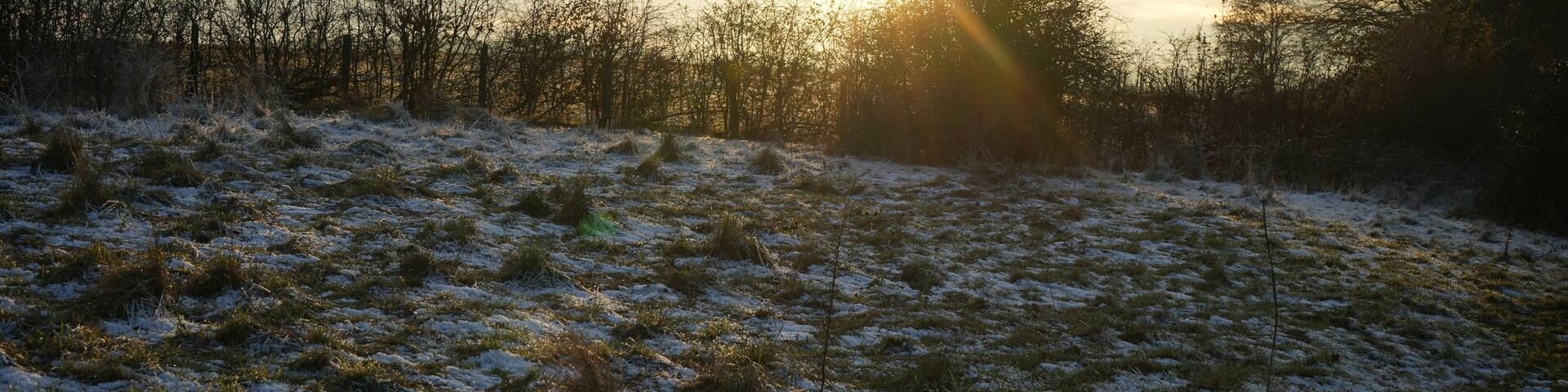 Dronfield, North East Derbyshire, England - December 3 2023: A serene frosty winter sunrise over hedge rows and grasslands.