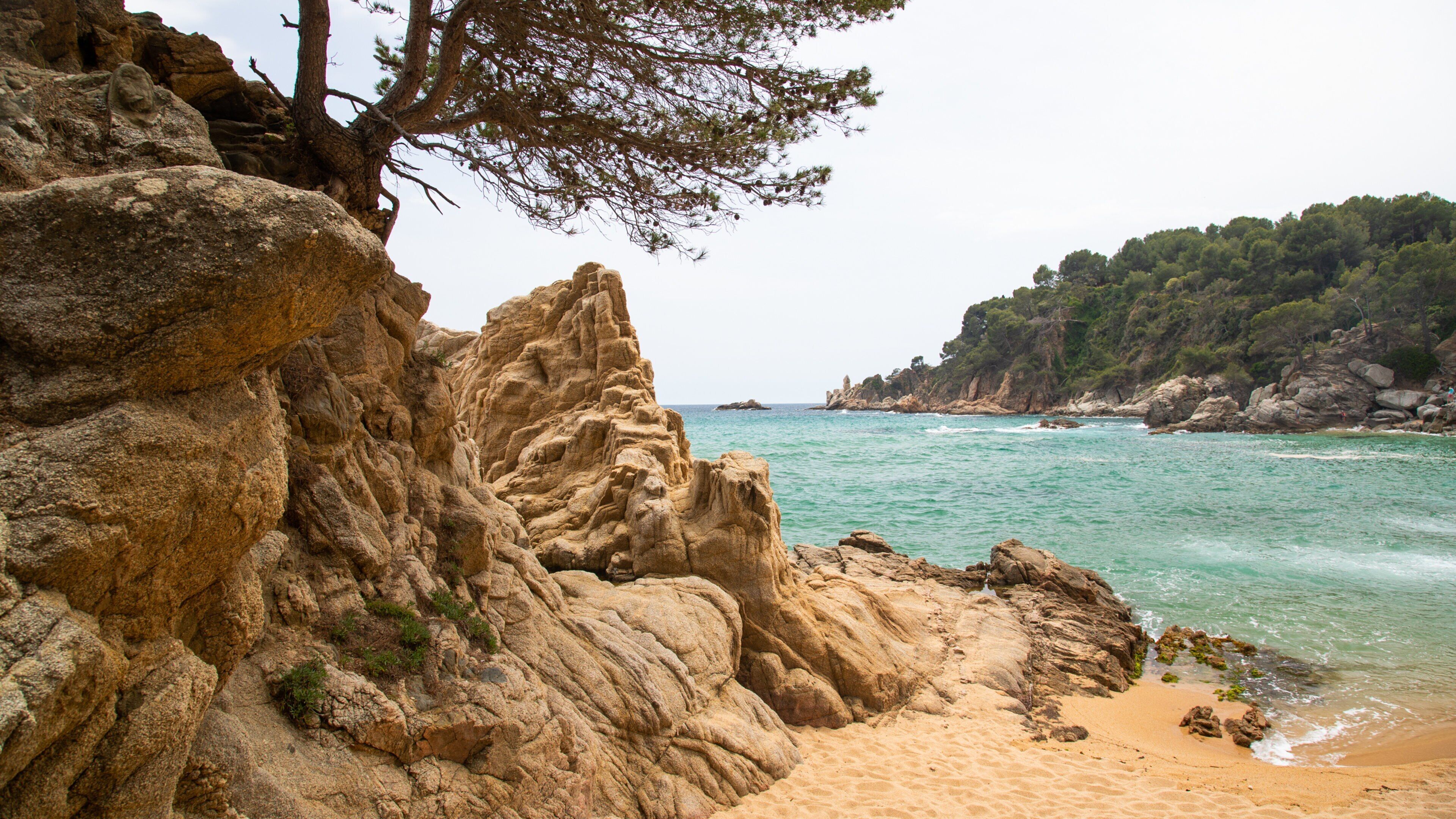 Santa Cristina Beach showing a sandy beach, general coastal views and rugged coastline