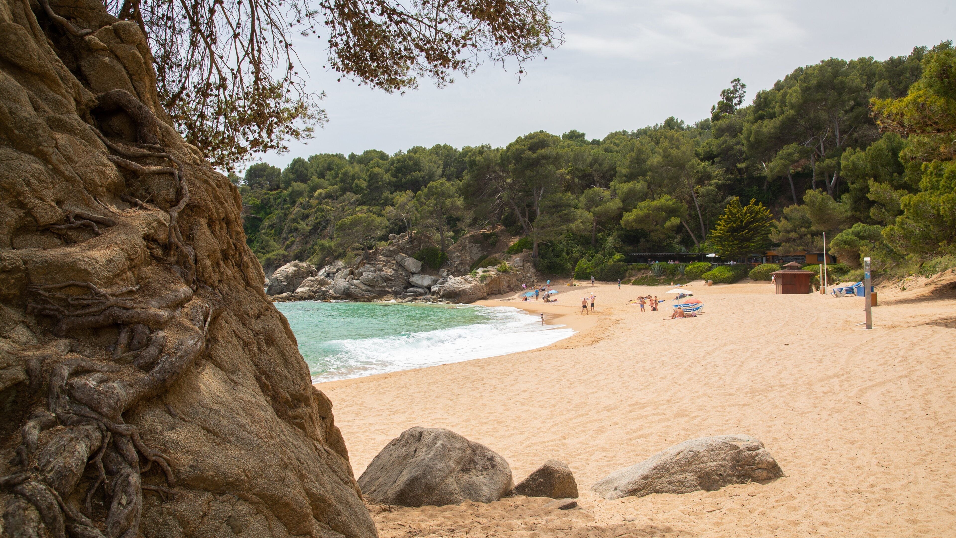 Santa Cristina Beach showing a sandy beach and general coastal views