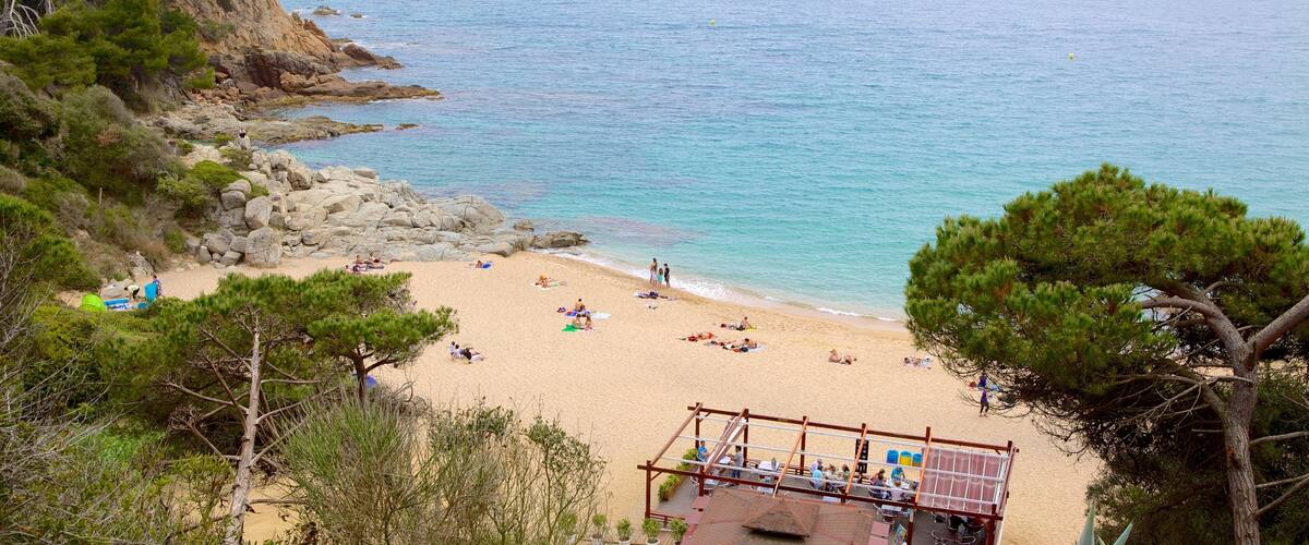 Santa Cristina Beach showing general coastal views and a sandy beach