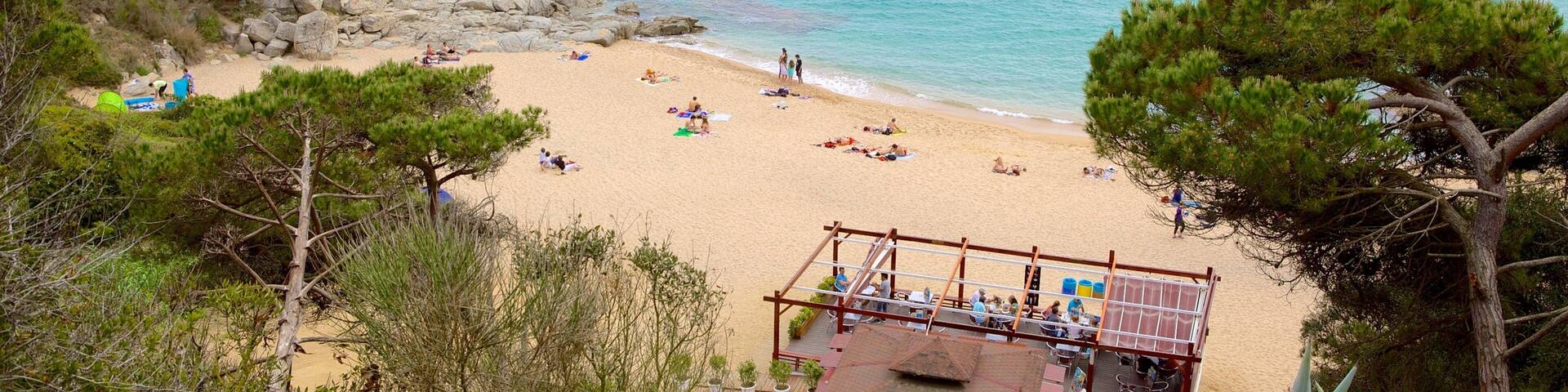 Santa Cristina Beach showing general coastal views and a sandy beach