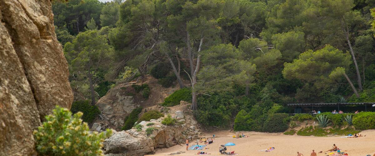 Santa Cristina Beach featuring a sandy beach and general coastal views