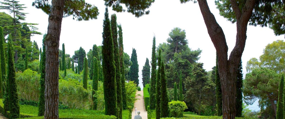 Jardines de Santa Clotilde bevat een tuin