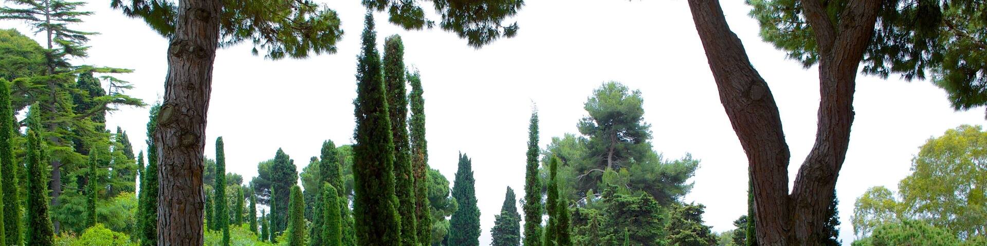 Jardins de Santa Clotilde welches beinhaltet Garten