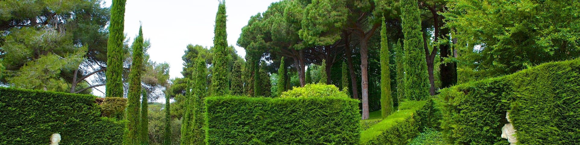 Jardines de Santa Clotilde que incluye un jardín