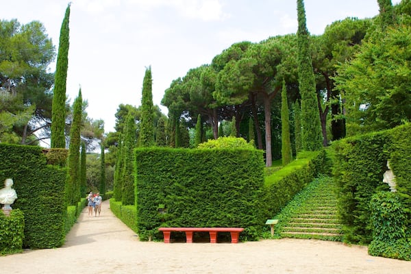 Jardins Santa Clotilde mettant en vedette jardin