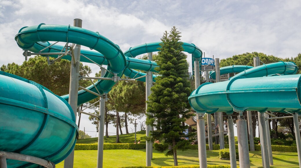 Water World featuring a waterpark