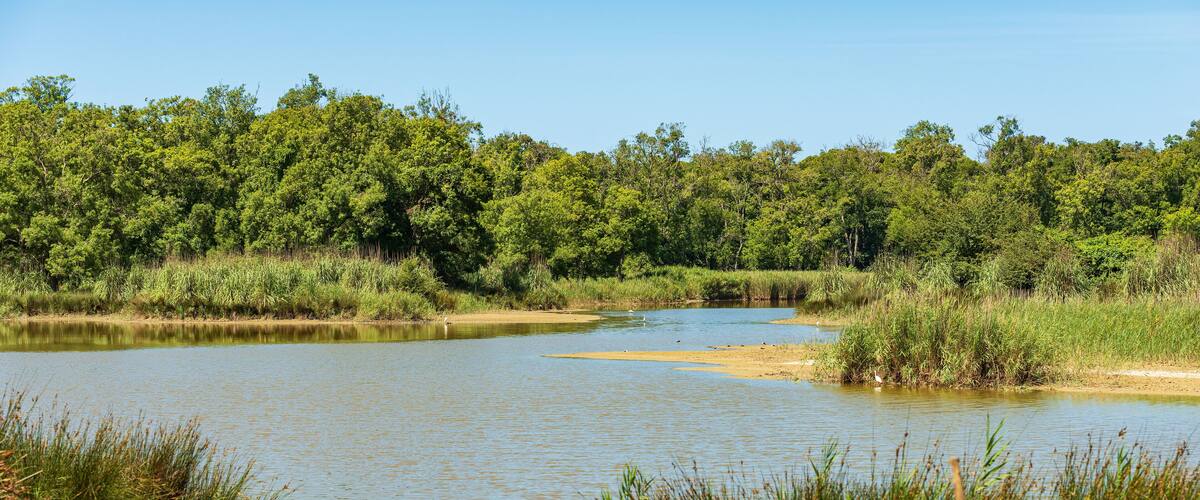 A calm river with surrounding greenery and trees.