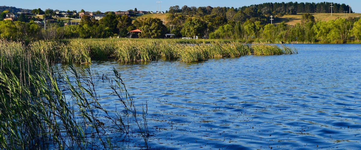 A calm lake with reeds in the foreground, a small island with a red-roofed structure, and a distant hill with houses and trees.