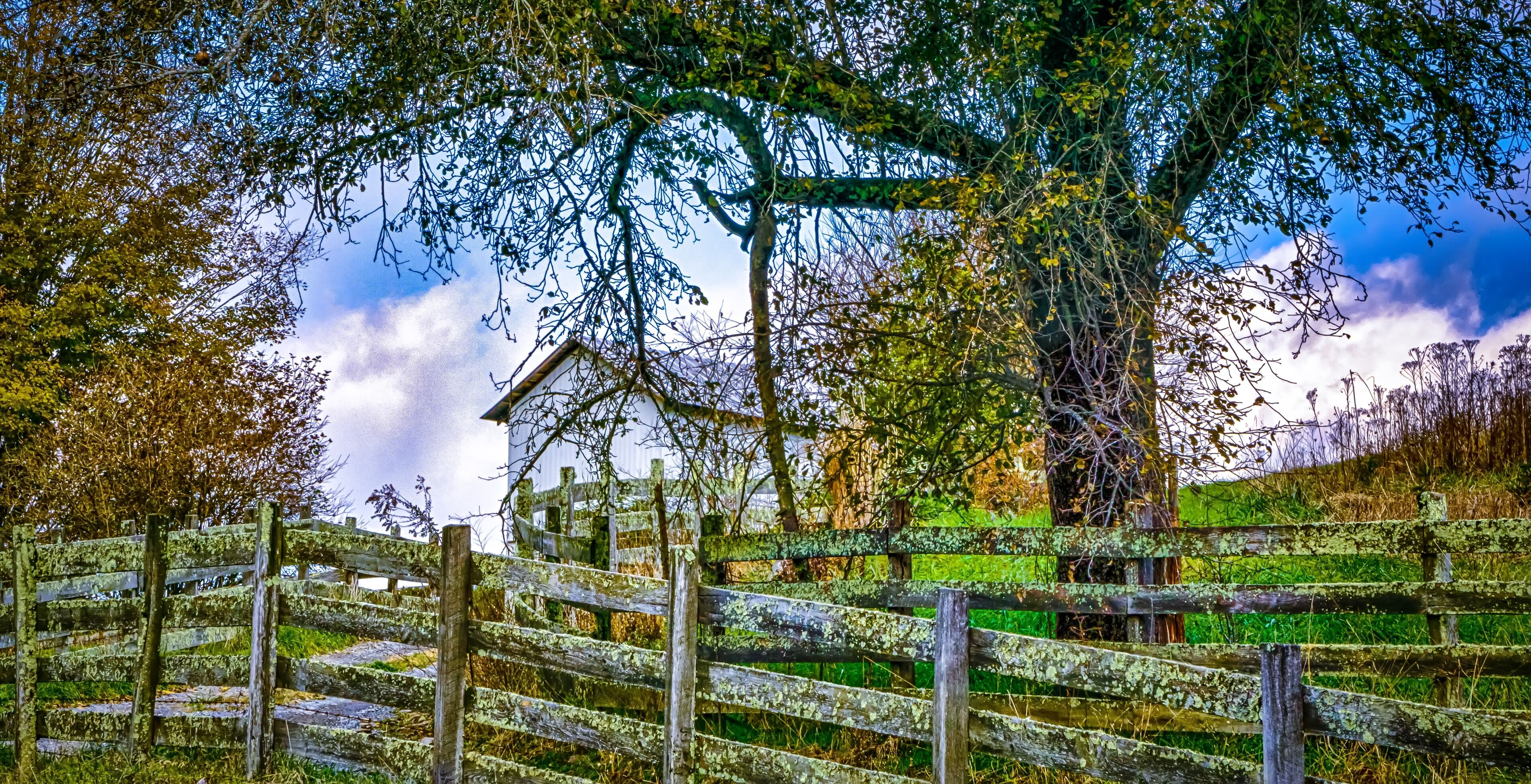 Picturesque autumn landscape in west virginia