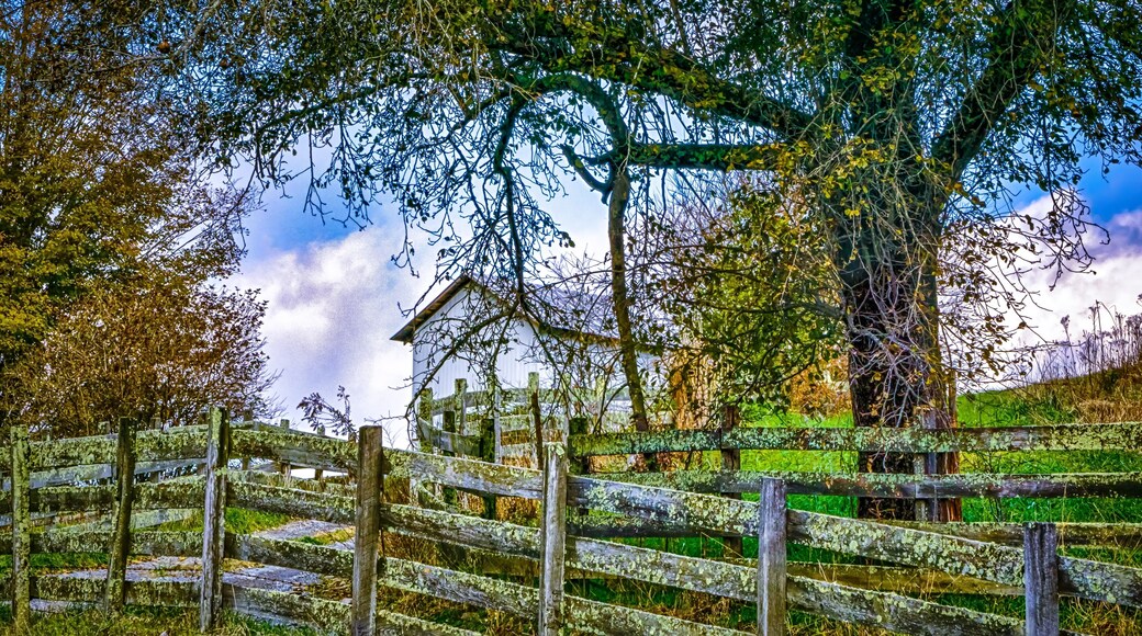 Picturesque autumn landscape in west virginia