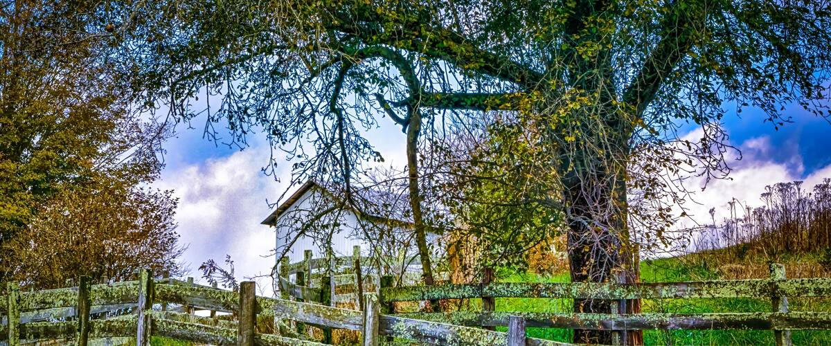 Una valla de madera rústica, una casa y un árbol con follaje verde.