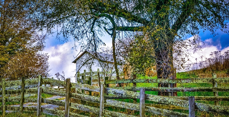 Una valla de madera rústica, una casa y un árbol con follaje verde.
