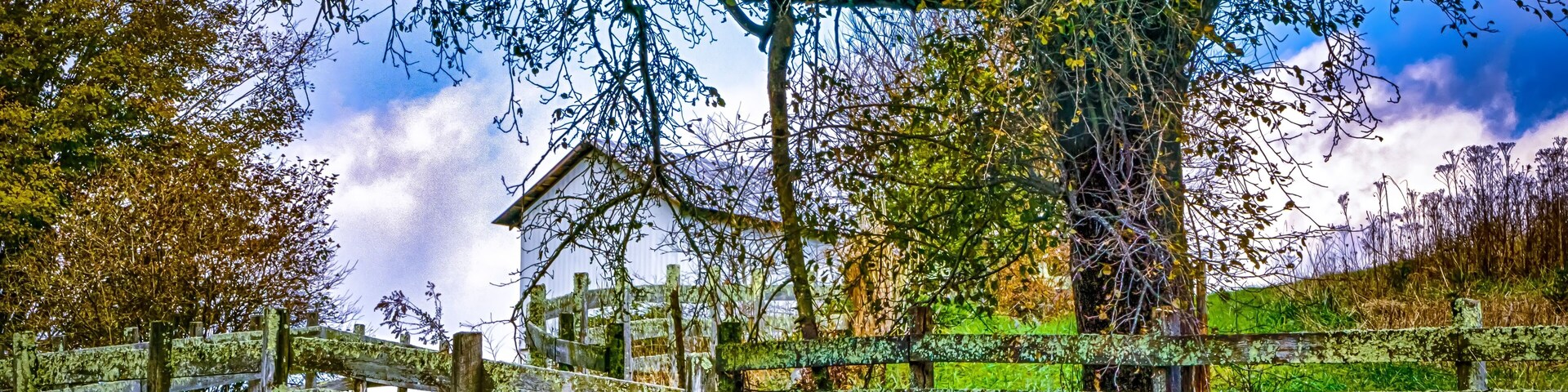 Una valla de madera rústica, una casa y un árbol con follaje verde.