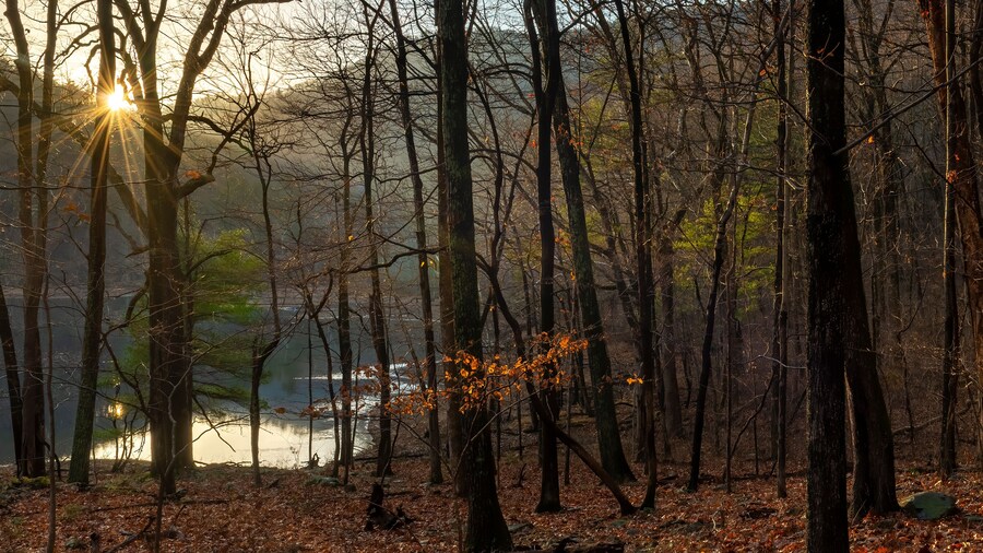 Sugar Hollow Park (puisto)