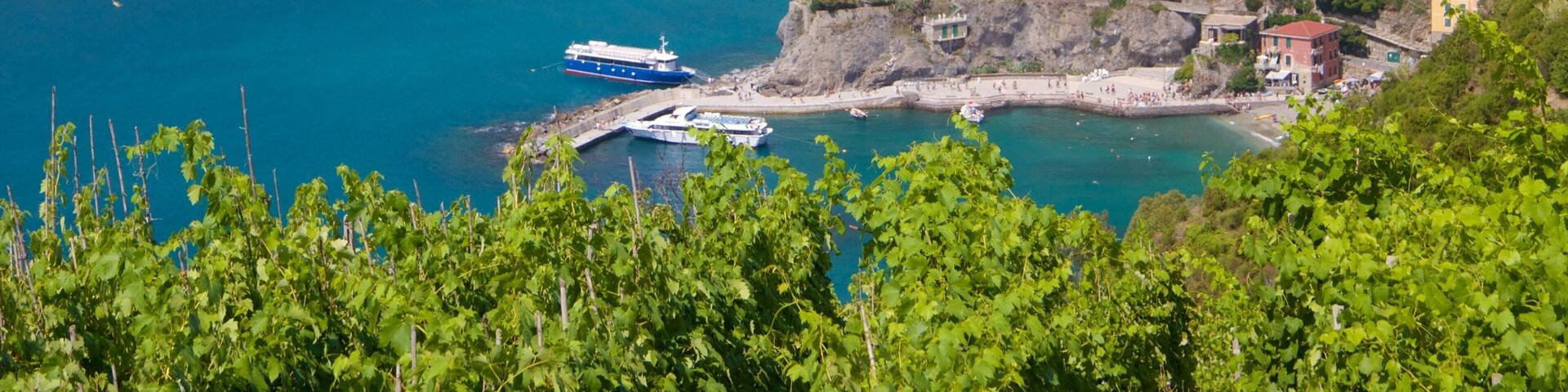 Monterosson ranta johon kuuluu yleiset rantanäkymät ja rannikkokaupunki