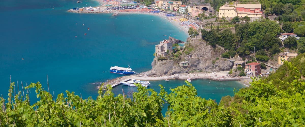Monterosso Beach featuring a coastal town and general coastal views