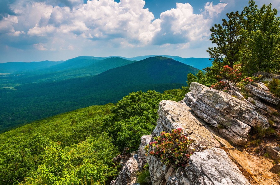 View of the Trout Run Valley from Tibbet Knob, in George Washington National Forest, West Virginia., Shutterstock ID 150124022, purchase_order: SP-1269 HA 2018 Batch 1, Order: , client: , other: